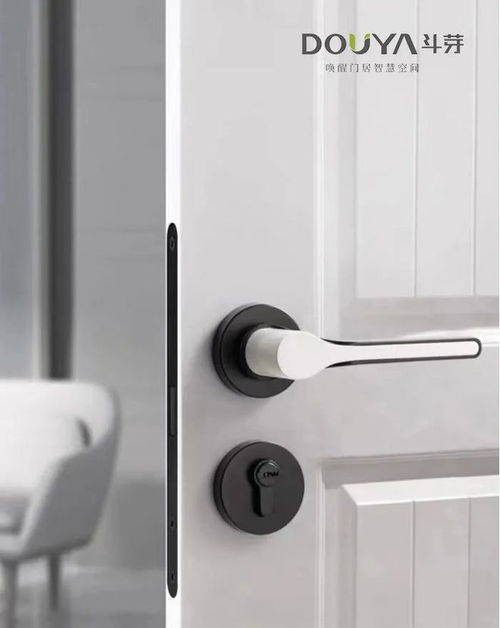 與產(chǎn)品對話 斗芽五金如何喚醒門居智慧空間